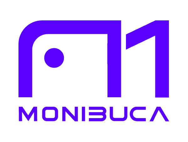 langhuihui/monibuca